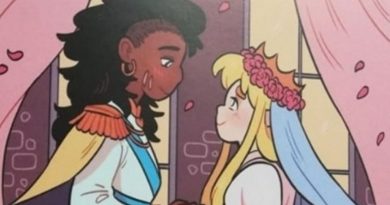«Принцесса+принцесса»: в Украине для детских библиотек приобрели книги о девушках-лесбиянках