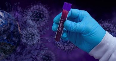 В Бельгии нашли новый штамм коронавируса, который ведет себя не так, как все известные
