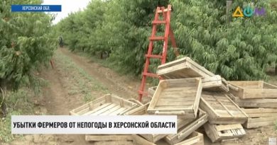 Сгнили тонны овощей: непогода уничтожает урожай на юге Украины (видео)