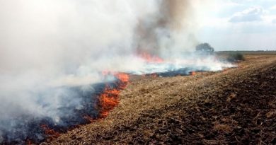 Спасатели предупреждают николаевцев о повышенной пожароопасности