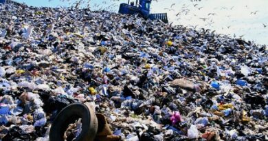 Страна тонет в хламе: почему не сортируем мусор и кто должен это изменить