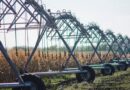 Германия намерена импортировать украинское зерно по железной дороге
