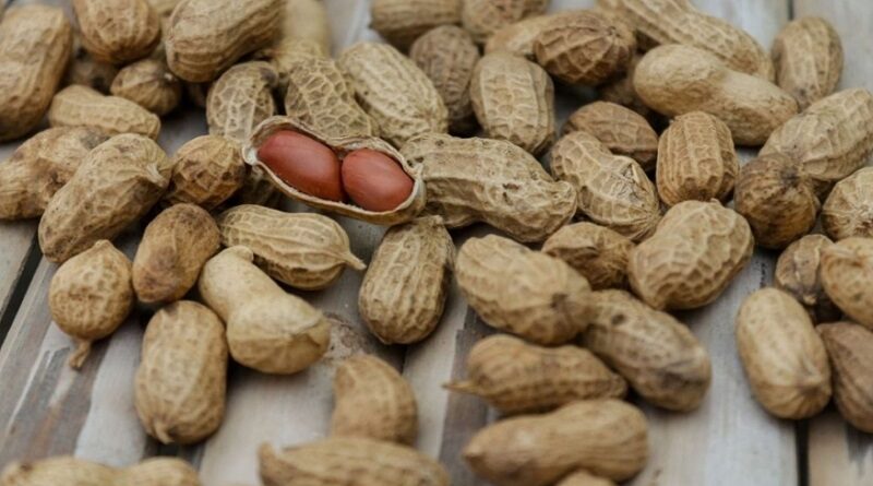 В Україну завезли отруйний арахіс із Єгипту: продукт уже продавали в Одесі