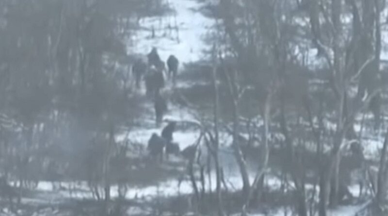 Миколаївські десантники показали, як загнали окупантів у вогняний мішок під Мар'їнкою (відео)