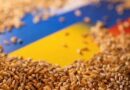 Україна, Туреччина, ООН та РФ домовилися про продовження «зернової угоди»