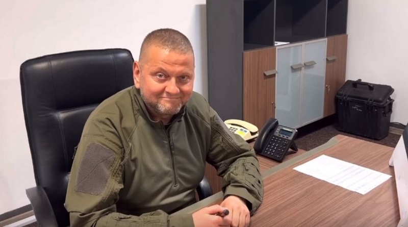 У ЗСУ опублікували відео із Залужним, щоб розвіяти брехню РФ